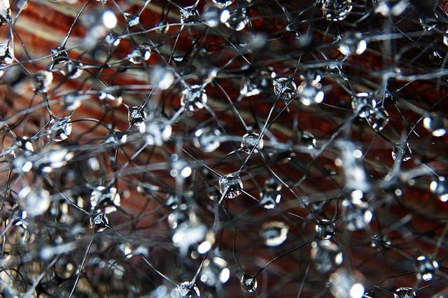 Fine-Tuning and Evolution: Evaluating Complexity