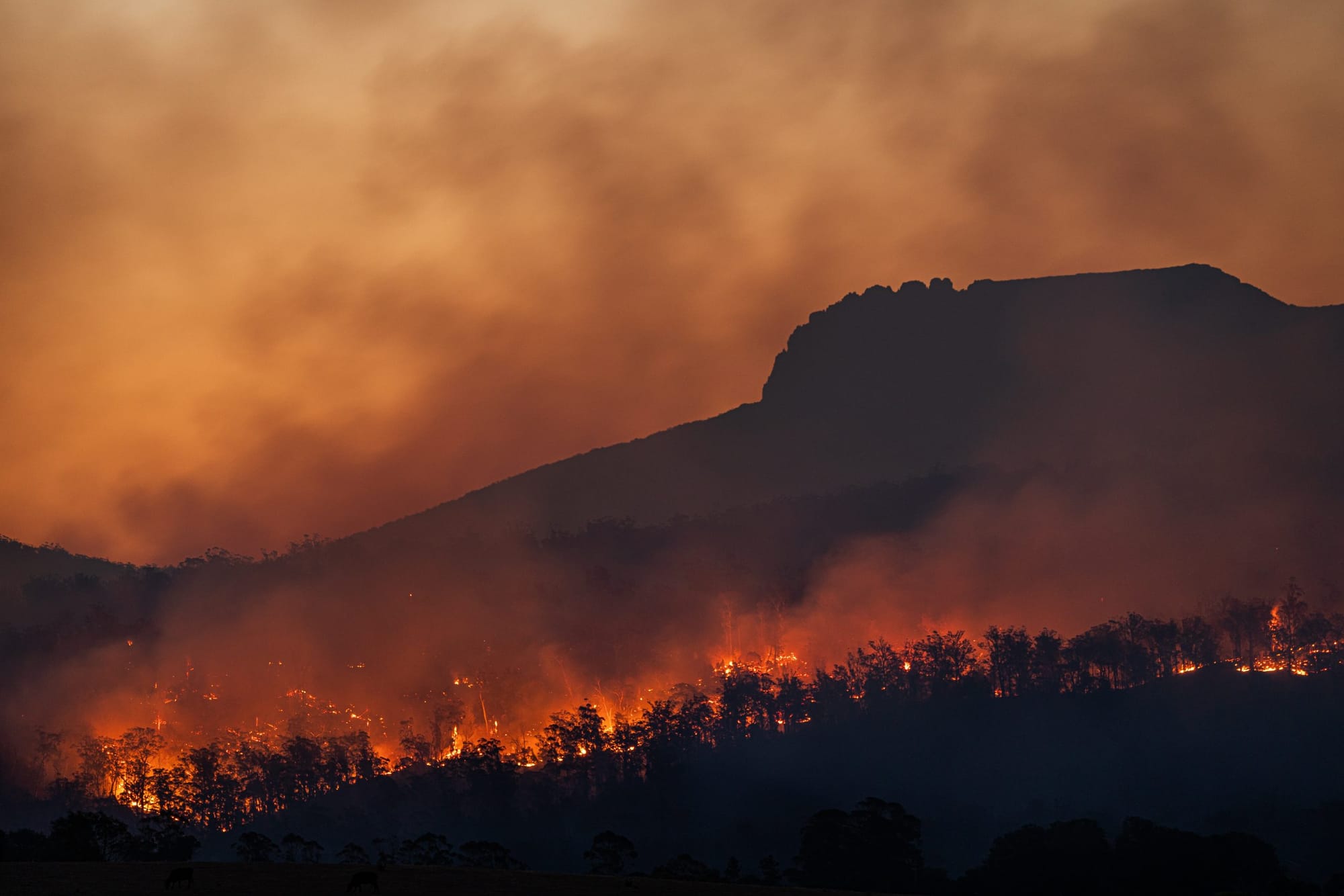 Climate change solutions: It's a voting thing, and that's a worry