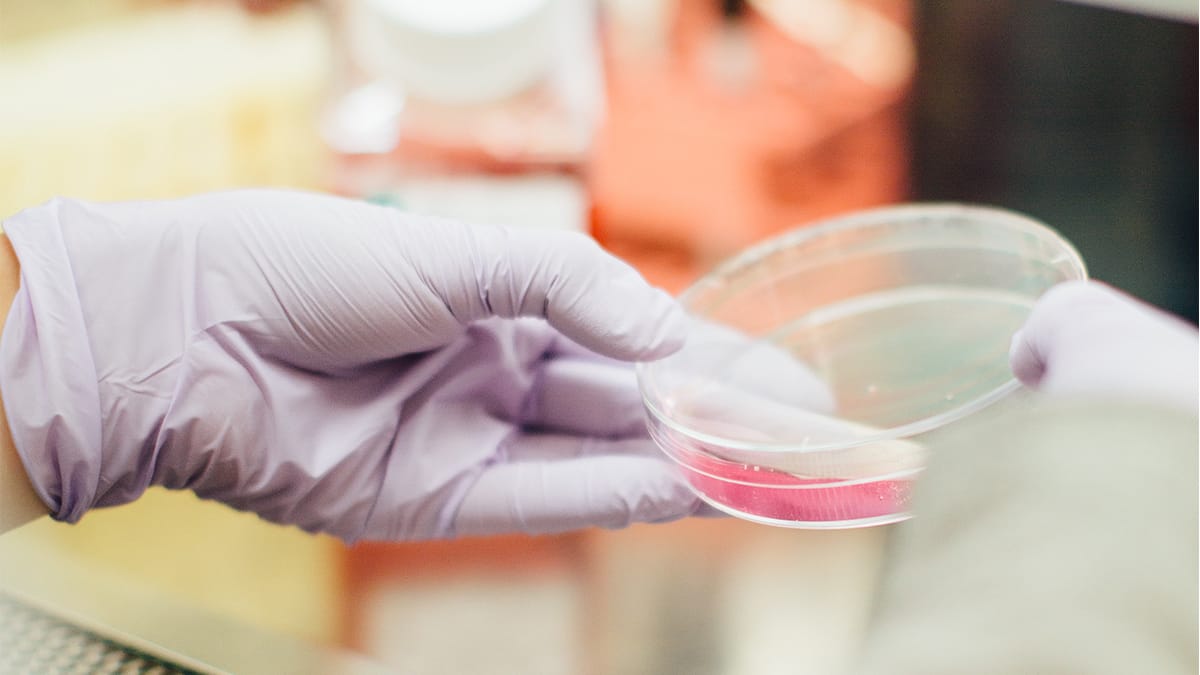 Ensoulment and frozen embryos: How exactly does that work?