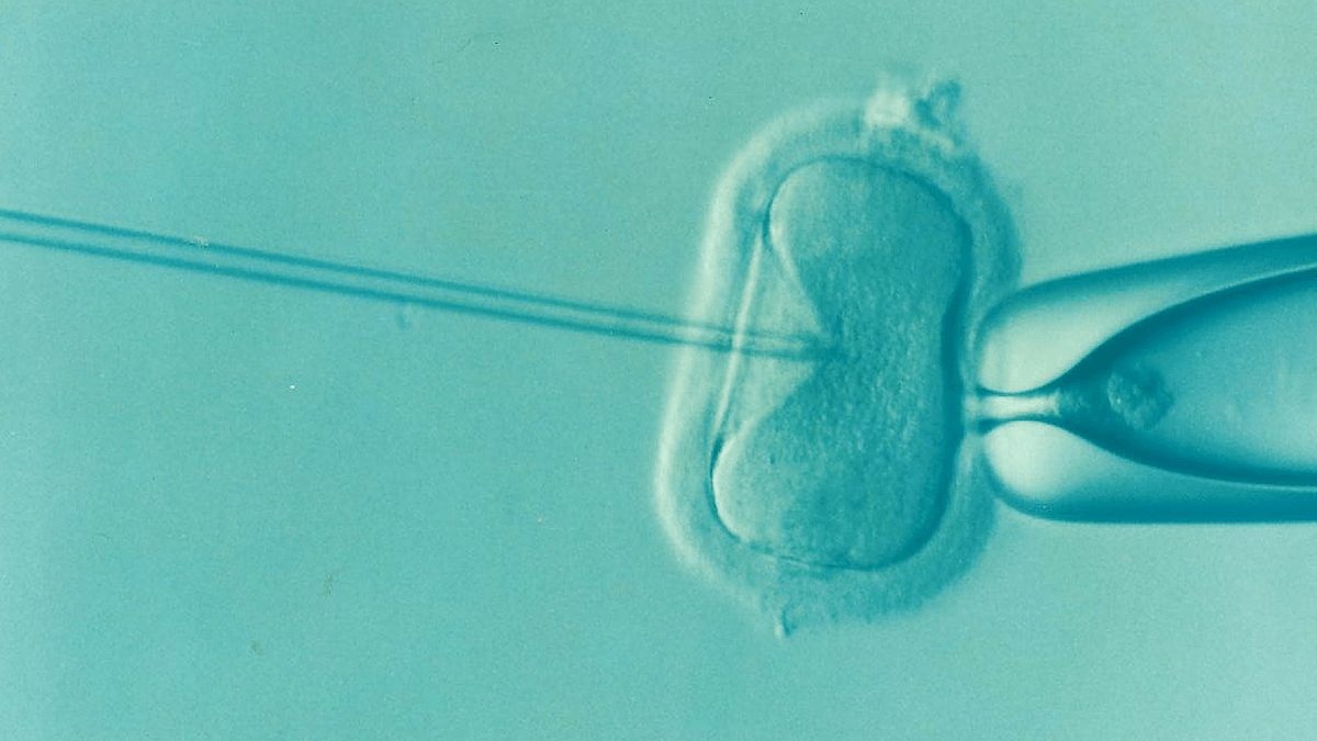 IVF ruling: When courts skip critical thinking