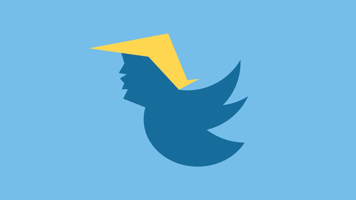 Musk will bring Trump back to Twitter, calls the ban 'foolish in the extreme'