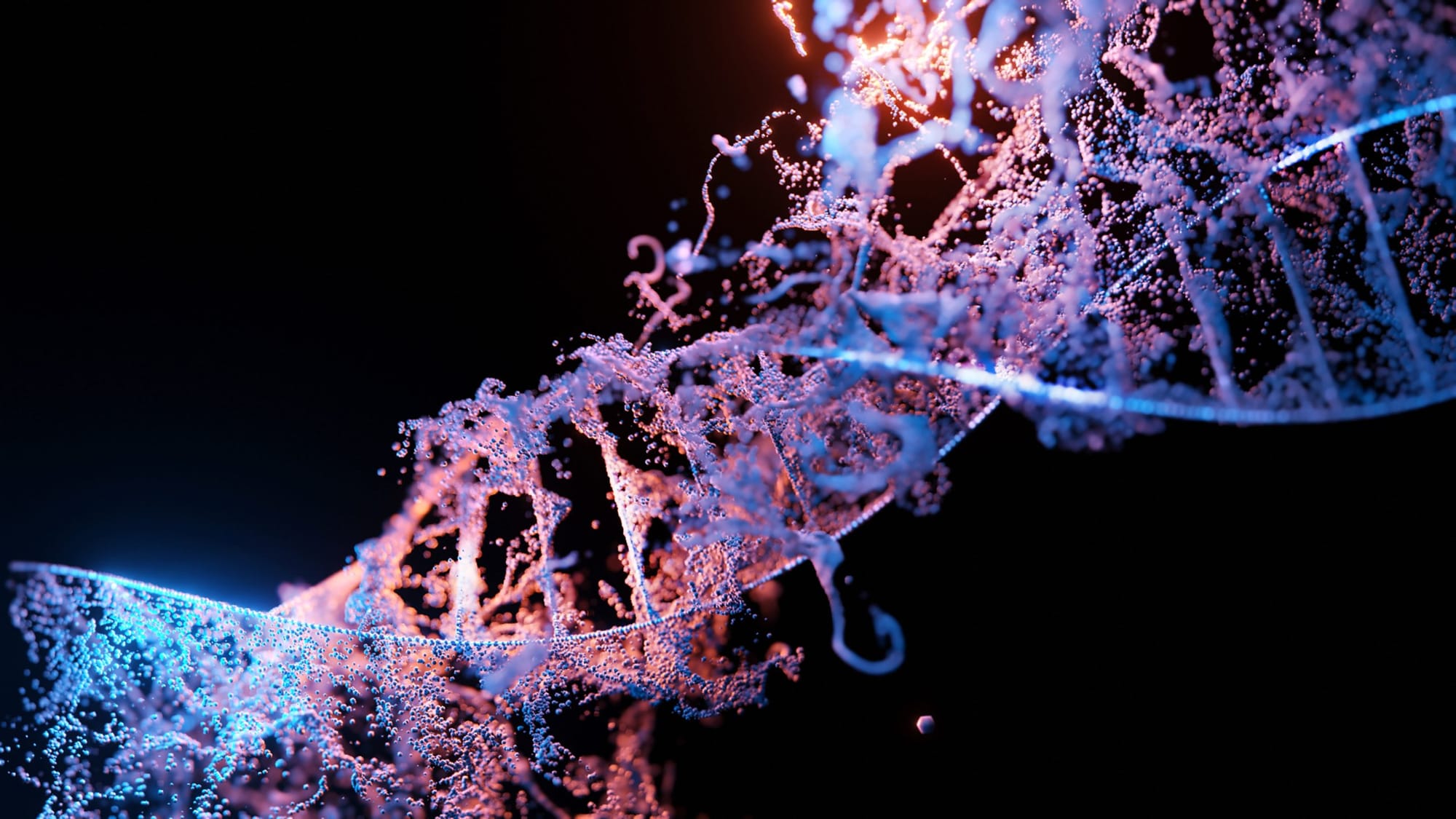 The beginnings of life: First evidence of molecular evolution of RNA