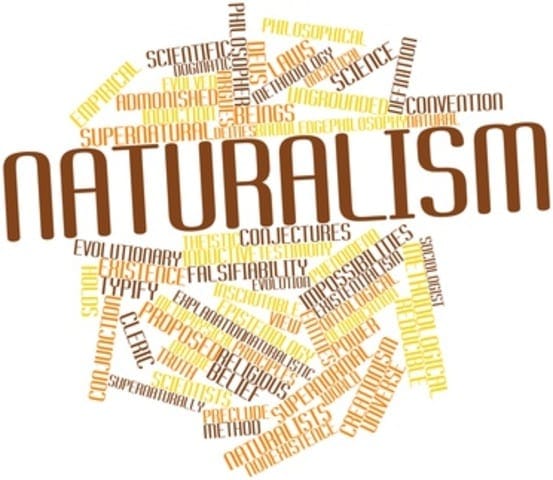 Abstract word cloud for Naturalism with related tags and terms