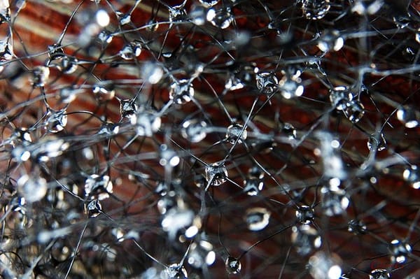Complexity by photo fiddler, flickr.com