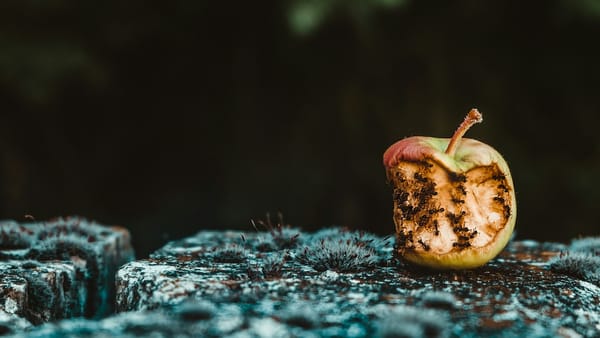 Unsplash